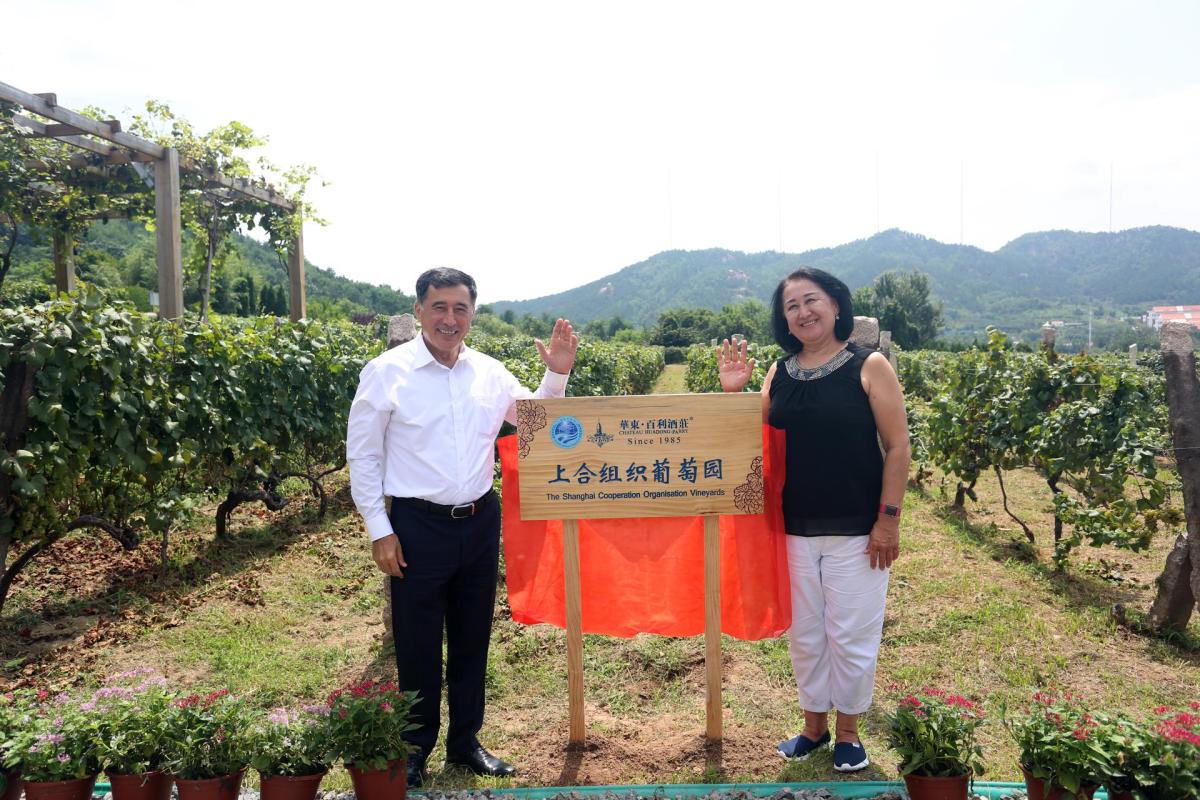 1600150340855574.jpg 微信图片_20200915140924.jpg